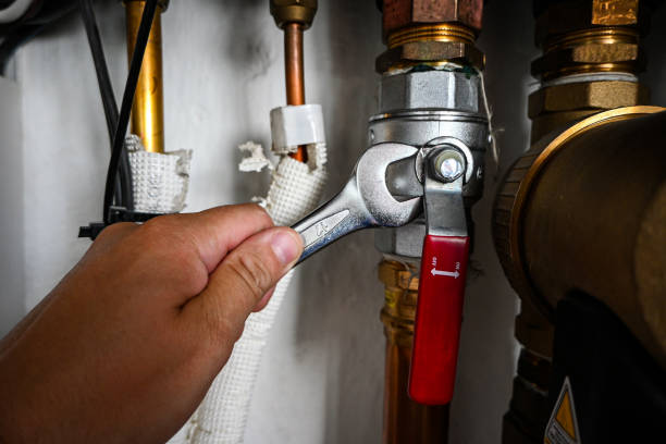 Best Plumbing Services Near Me  in Gosnell, AR